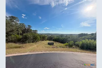 233 Enigma Avenue, Spring Branch, TX 78070 - Photo 23