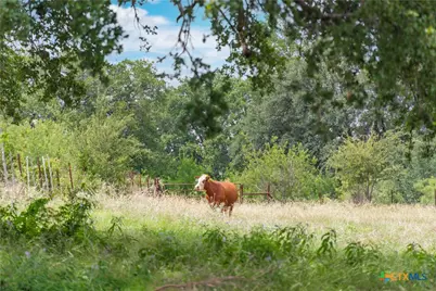 8160 Fm 2412, Gatesville, TX 76528 - Photo 23