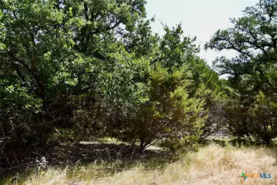 Tbd Cr 3340, Kempner, TX 76539 - Photo 7