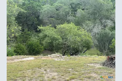 439 Twilight Drive, Canyon Lake, TX 78133 - Photo 7