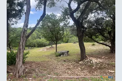 439 Twilight Drive, Canyon Lake, TX 78133 - Photo 3