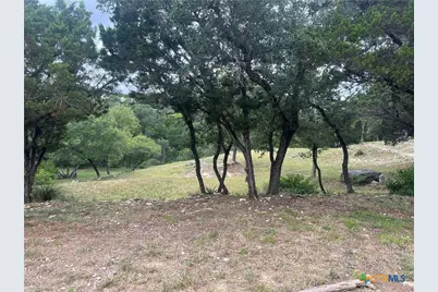 439 Twilight Drive, Canyon Lake, TX 78133 - Photo 15