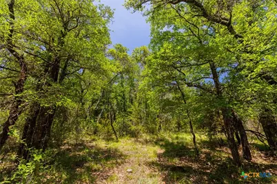 1806 County Road 180, Purmela, TX 76566 - Photo 15