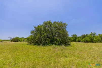 1806 County Road 180, Purmela, TX 76566 - Photo 9