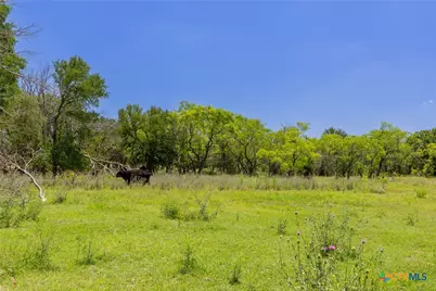 1806 County Road 180, Purmela, TX 76566 - Photo 47