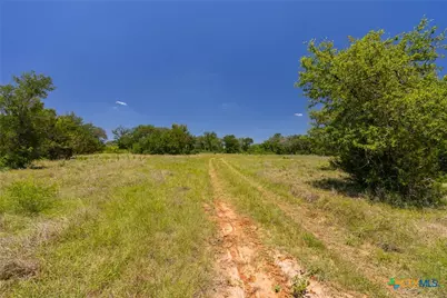 1806 County Road 180, Purmela, TX 76566 - Photo 37