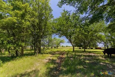 1806 County Road 180, Purmela, TX 76566 - Photo 5