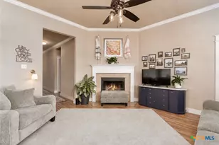 7333 Amber Meadow Loop, Temple, TX 76502 - Photo 3