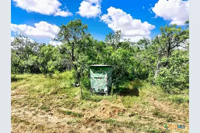 1591 County Road 476, Stockdale, TX 78160 - Photo 5