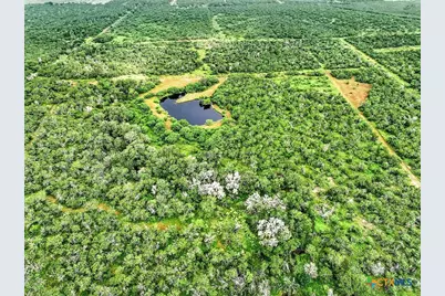 1591 County Road 476, Stockdale, TX 78160 - Photo 3