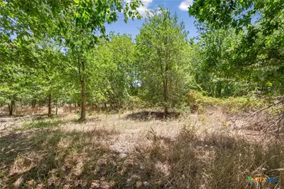 24485 Tbd, Buckholts, TX 76518 - Photo 5