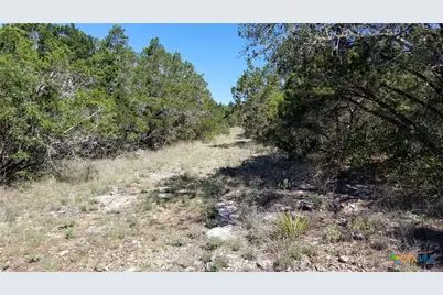 422 Ash Juniper Drive, New Braunfels, TX 78132 - Photo 7