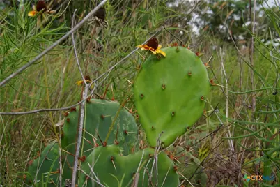 Tbd Fm 622, Goliad, TX 77963 - Photo 7