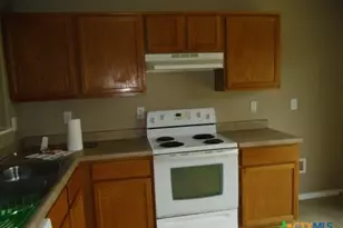 534 Cardinal Manor, New Braunfels, TX 78130 - Photo 3