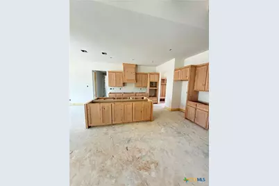4238 Cold Springs Road, Kempner, TX 76539 - Photo 9
