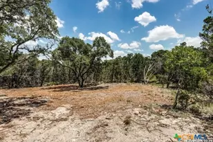 2544 Puter Creek Rd, Spring Branch, TX 78070 - Photo 17