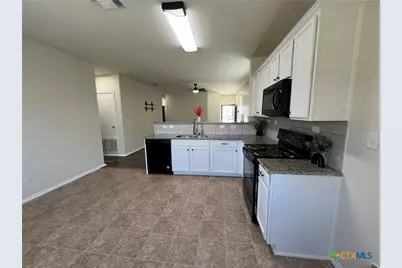 338 Mistflower, New Braunfels, TX 78130 - Photo 9