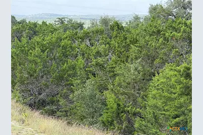 155 Lipizzan Lane, Spring Branch, TX 78070 - Photo 1