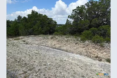 155 Lipizzan Lane, Spring Branch, TX 78070 - Photo 3