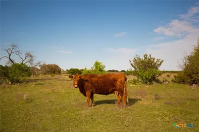 1843 Savanna Ridge Ranch Road, Lometa, TX 76853 - Photo 5