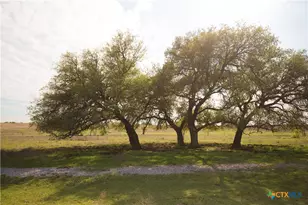 1843 Savanna Ridge Ranch Rd, Lometa, TX 76853 - Photo 7