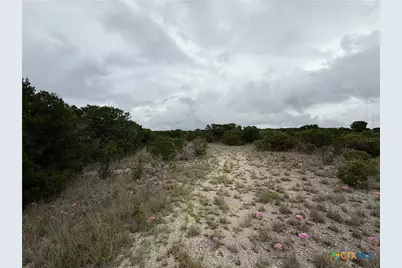 13272 - B Fm 2484, Salado, TX 76571 - Photo 5