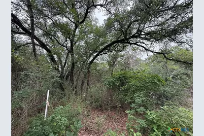 13272 - B Fm 2484, Salado, TX 76571 - Photo 11