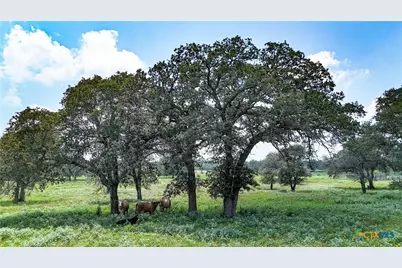 Tract 1 County Road 442, Harwood, TX 78632 - Photo 5