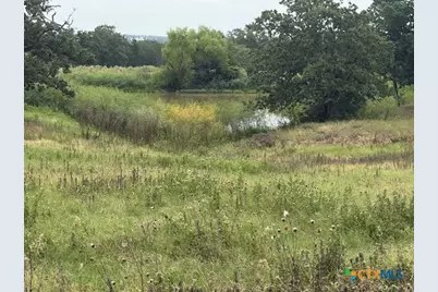 2609 County Road 216, Giddings, TX 78942 - Photo 17