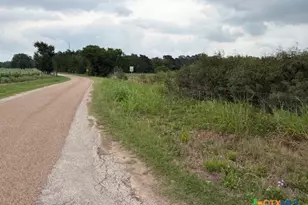 2609 Co Rd 216, Giddings, TX 78942 - Photo 5