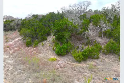 615 Caballo Trail, Canyon Lake, TX 78133 - Photo 3
