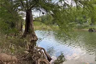 172 Bluff Trail, Dripping Springs, TX 78620 - Photo 37