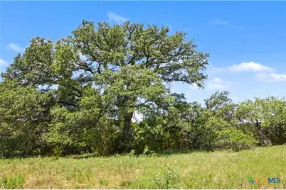 3520 Cr 2207, Lampasas, TX 76550 - Photo 47