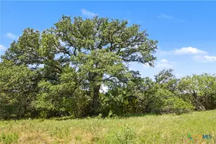 3520 Cr 2207, Lampasas, TX 76550 - Photo 47