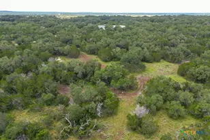 2090 Wegner Rd, New Braunfels, TX 78132 - Photo 13