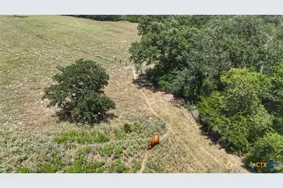 Tract 5 State Highway 304, Harwood, TX 78632 - Photo 5