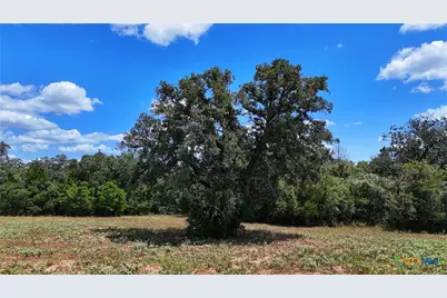 Tract 5 State Highway 304, Harwood, TX 78632 - Photo 11