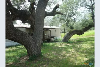 118 Country Oaks Drive, La Vernia, TX 78121 - Photo 3