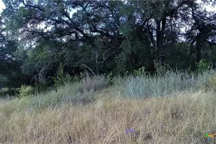 4805 Lookout Ridge Dr, Marble Falls, TX 78654 - Photo 7
