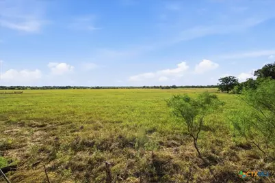 5610 County Road 174 - Tract 6, Gatesville, TX 76528 - Photo 7