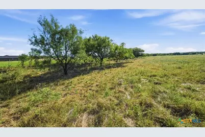 5610 County Road 174 - Tract 5, Gatesville, TX 76528 - Photo 5