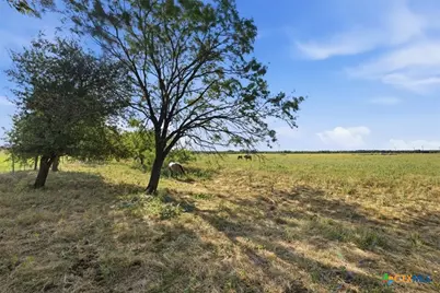 5610 County Road 174 - Tract 5, Gatesville, TX 76528 - Photo 7