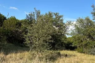 943 US Hwy 183, Goldthwaite, TX 76844 - Photo 5