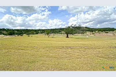 1644 Cottonwood Mesa Drive, Kempner, TX 76539 - Photo 3
