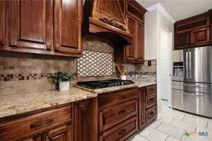 113 Scarlet Oak Cove, Kyle, TX 78640 - Photo 17