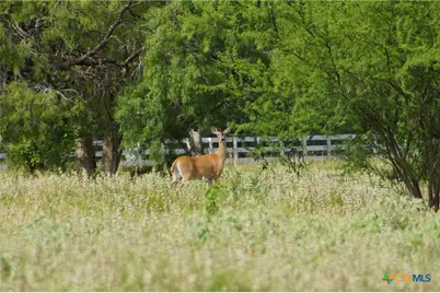 000 Briggs Boulevard, Victoria, TX 77904 - Photo 23