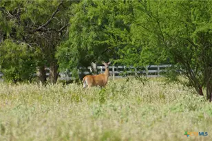000 Briggs Blvd, Victoria, TX 77904 - Photo 23