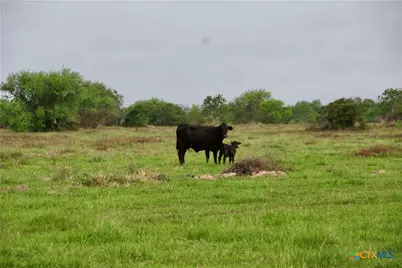 000 Briggs Boulevard, Victoria, TX 77904 - Photo 17
