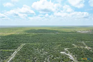 0000 Hwy 44, Freer, TX 78357 - Photo 17