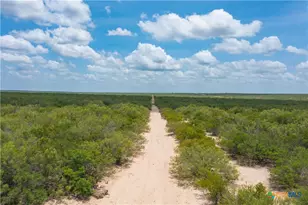 0000 Hwy 44, Freer, TX 78357 - Photo 21